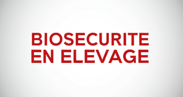 Les fondamentaux de la biosécurité en élevage