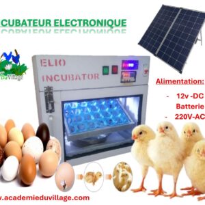 Incubateurs à Œufs Electronique avec Vitrine