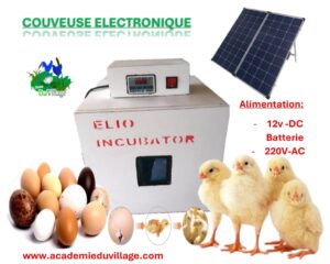 Couveuse / Ecoloisoir à Oeufs Électronique 12v-220v