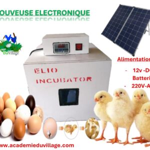 Couveuse / Ecoloisoir à Oeufs Électronique 12v-220v
