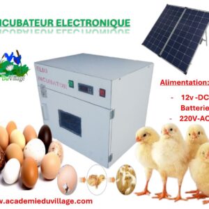 Incubateur à Oeufs Électronique 12v-220v